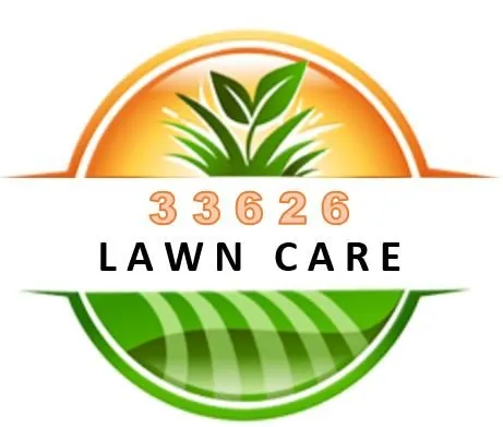 Custom yard cleanup service in Tampa, FL - 33626 Lawn Care