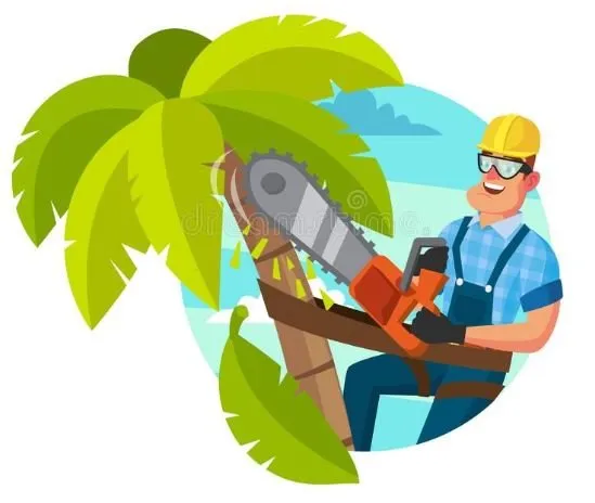 Trusted garden landscaping in Tampa, FL - 33626 Lawn Care