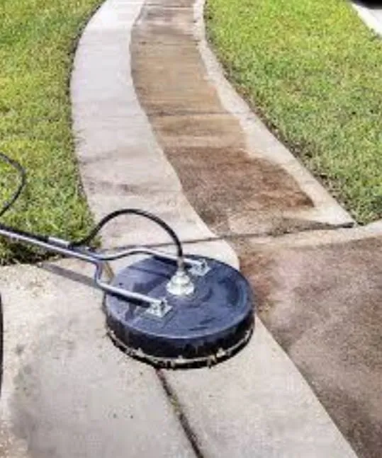 Trusted lawn care service for outdoor upgrades across Tampa, FL - 33626 Lawn Care