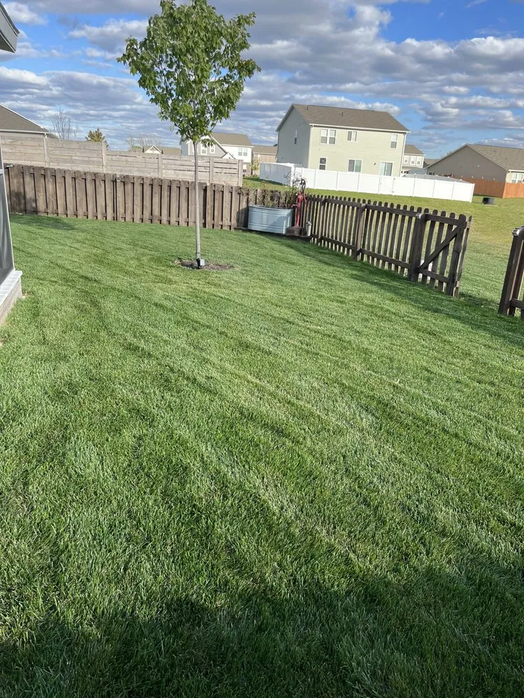 Affordable outdoor landscaping in Greenfield, IN - 343 Lawn Care