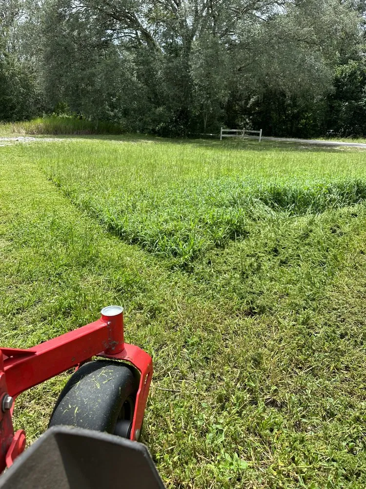 Reliable landscaping services in Brooksville, FL - 352 Total lawn care