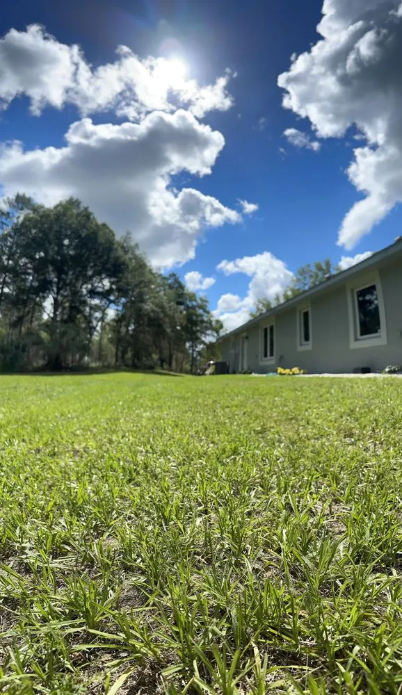 Local landscape installation for year-round maintenance in Brooksville, FL by 352 Total lawn care