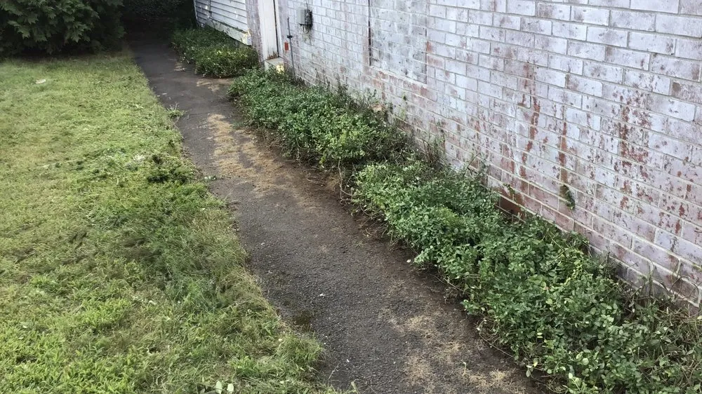 Local garden landscaping in Northampton, MA by 360 Cleanup