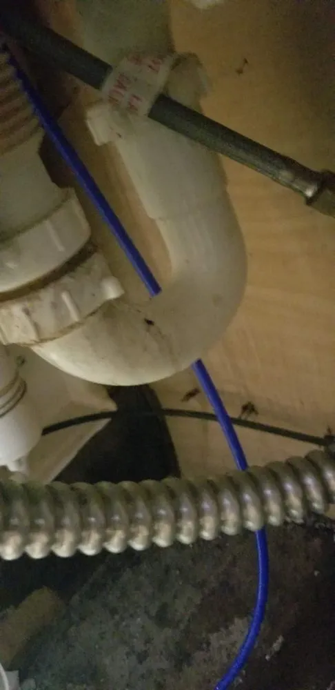 Reliable landscape design with custom design across Thonotosassa, FL - 360 Degree Property Solutions