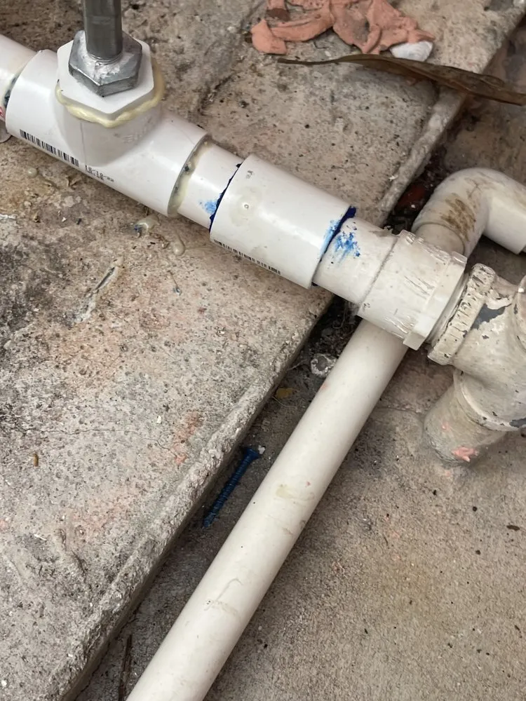 Expert landscape installation in Thonotosassa, FL by 360 Degree Property Solutions