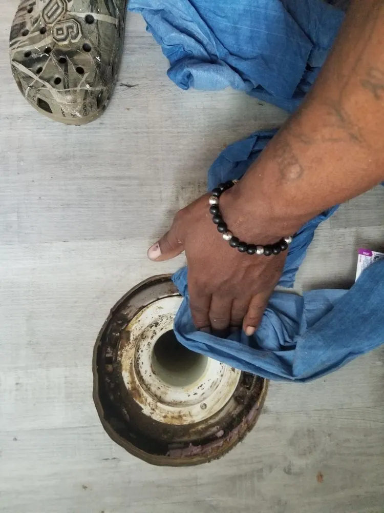 Trusted garden landscaping experts serving Thonotosassa, FL - 360 Degree Property Solutions