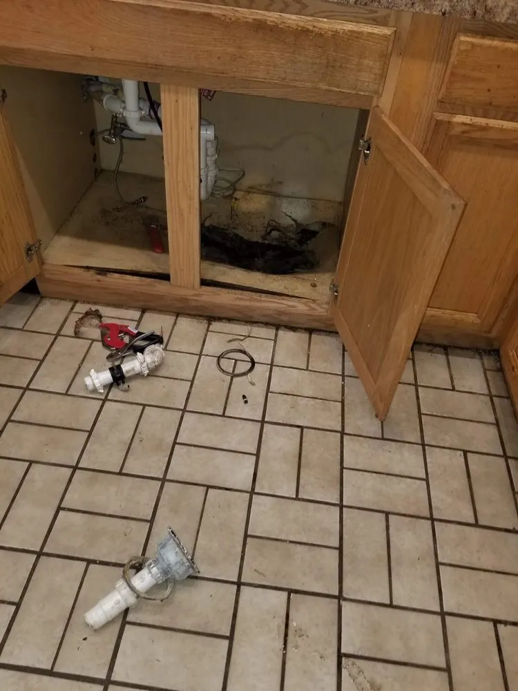 Local yard cleanup service for beautiful yards in Thonotosassa, FL by 360 Degree Property Solutions