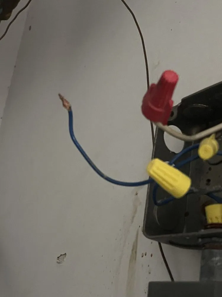 Top-rated residential landscaping in Thonotosassa, FL by 360 Degree Property Solutions