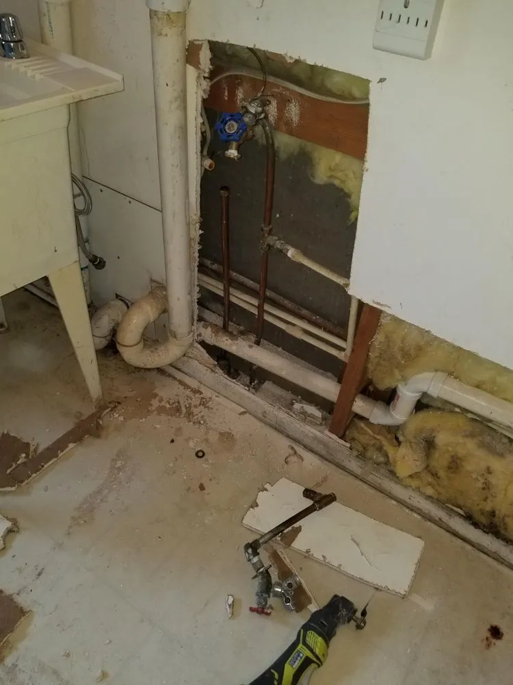 Professional landscape design experts serving Thonotosassa, FL - 360 Degree Property Solutions