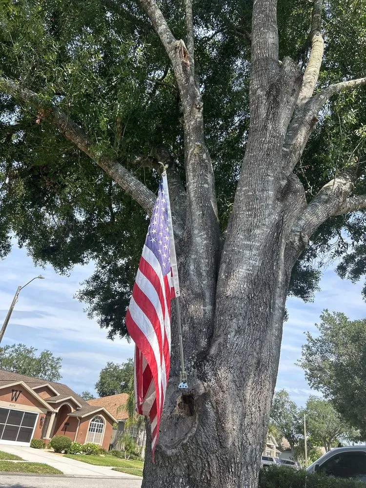 Local outdoor landscaping in Lakeland, FL by 360 Eco Solutions