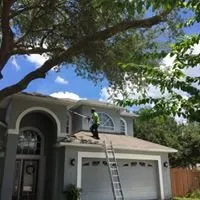 Top-rated landscape installation experts serving Lakeland, FL - 360 Eco Solutions