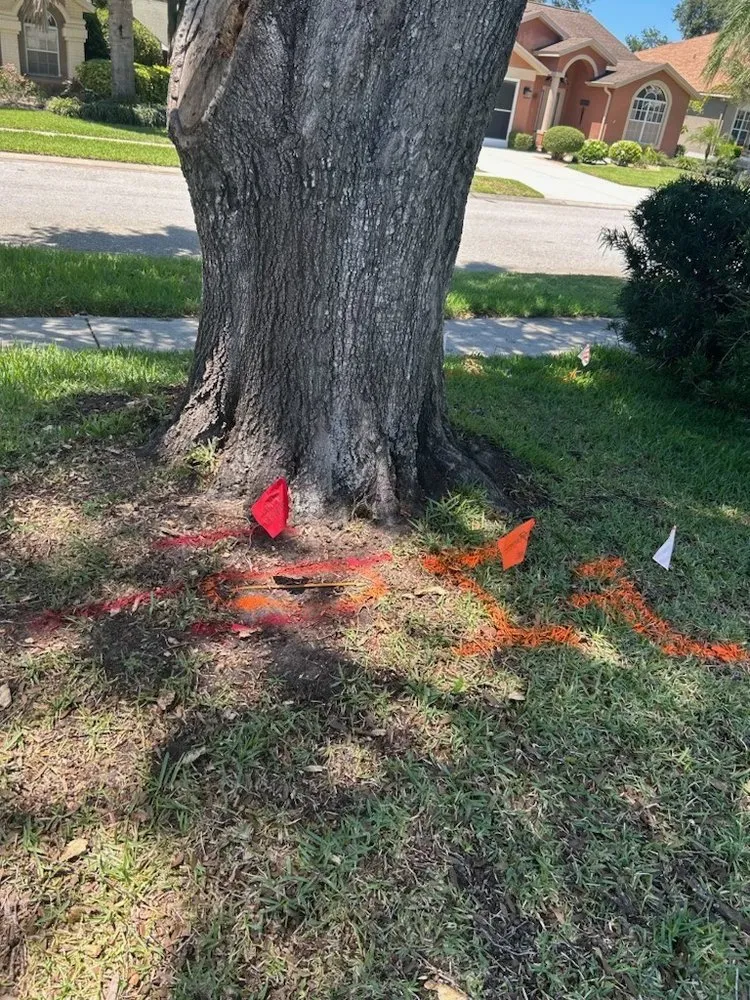 Local landscape installation in Lakeland, FL by 360 Eco Solutions