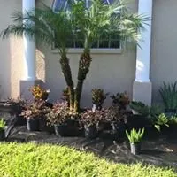 Custom yard maintenance experts serving Lakeland, FL - 360 Eco Solutions