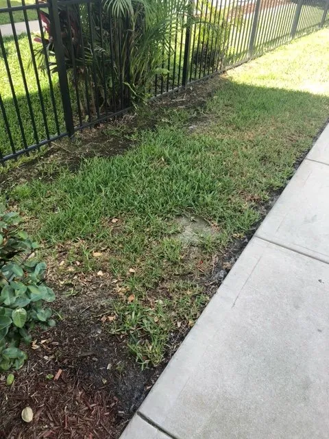 Affordable residential landscaping experts serving Lakeland, FL - 360 Eco Solutions