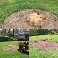 Professional landscape installation experts serving Lakeland, FL - 360 Eco Solutions