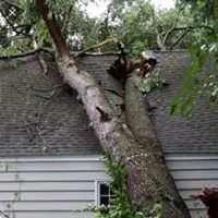 Professional yard maintenance in Lakeland, FL by 360 Eco Solutions