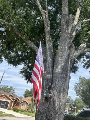 360 Eco Solutions Logo