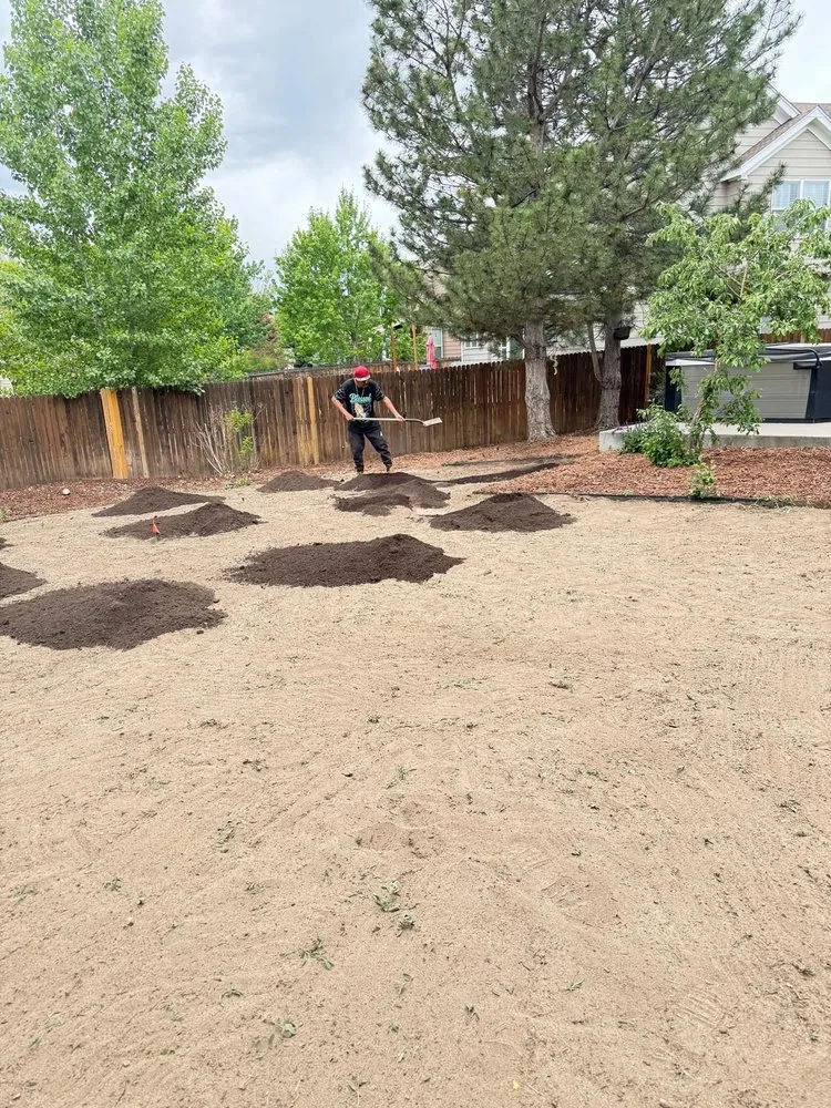 Top-rated landscape design in Denver, CO - 360 Irrigation and Landscaping