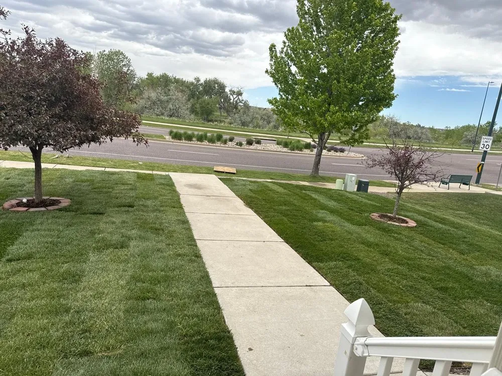 Top-rated lawn care service with custom design across Denver, CO - 360 Irrigation and Landscaping
