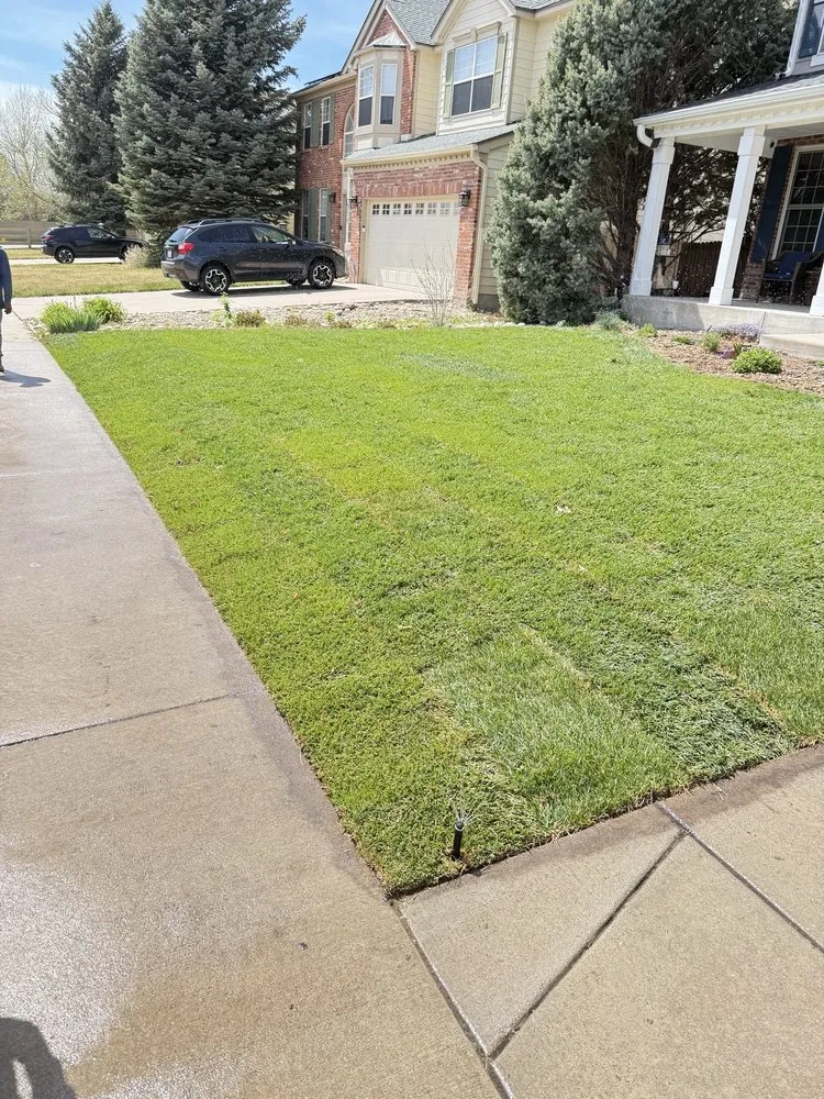 Top-rated residential landscaping in Denver, CO by 360 Irrigation and Landscaping