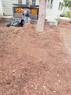 360 Irrigation and Landscaping Logo