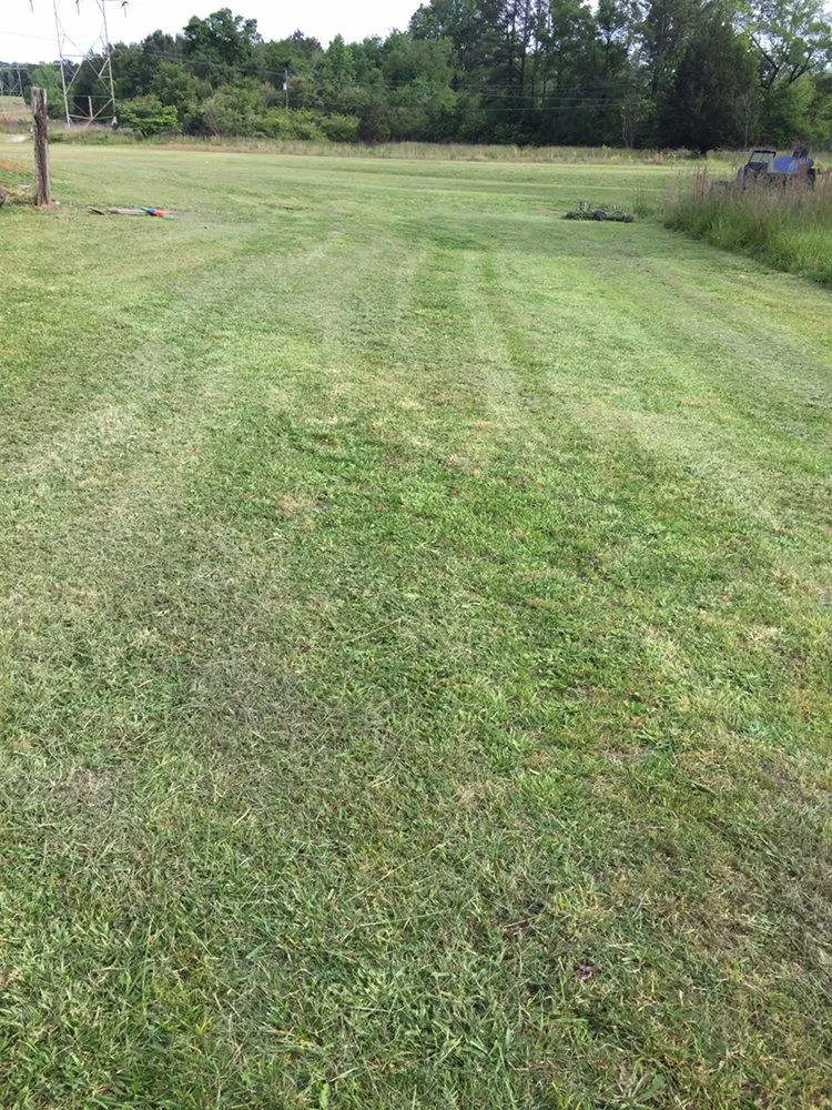 Local landscape design with custom design in Sylacauga, AL by 360 Kutz