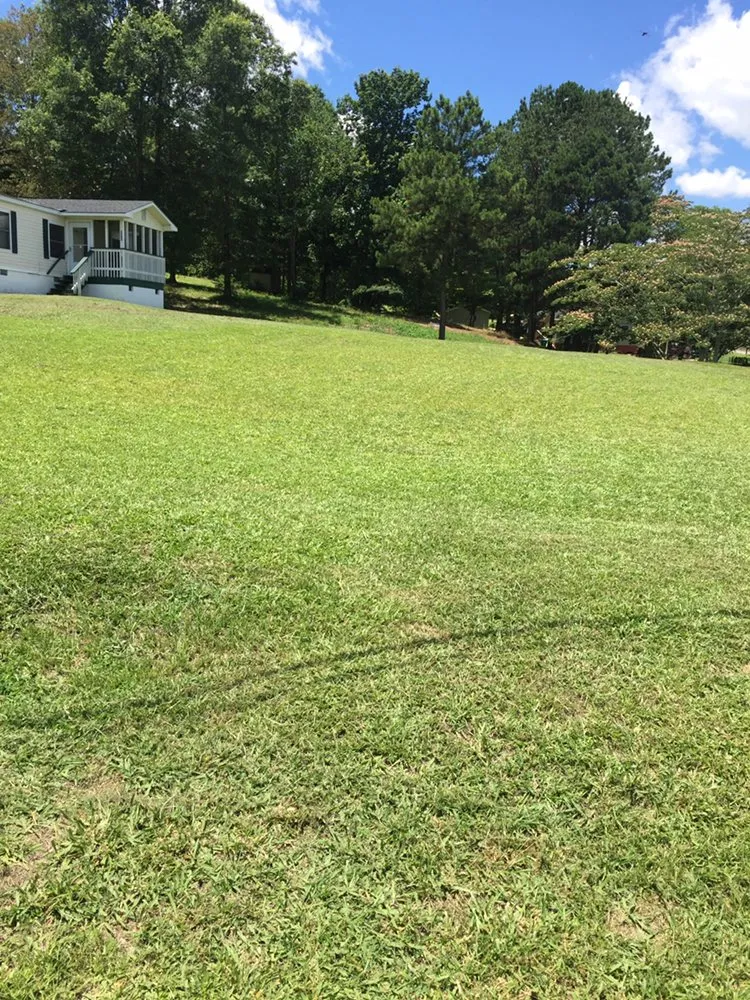 Reliable yard cleanup service experts serving Sylacauga, AL - 360 Kutz