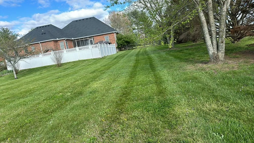 Top-rated lawn mowing service for beautiful yards across Centerville, TN - 360 Land Management