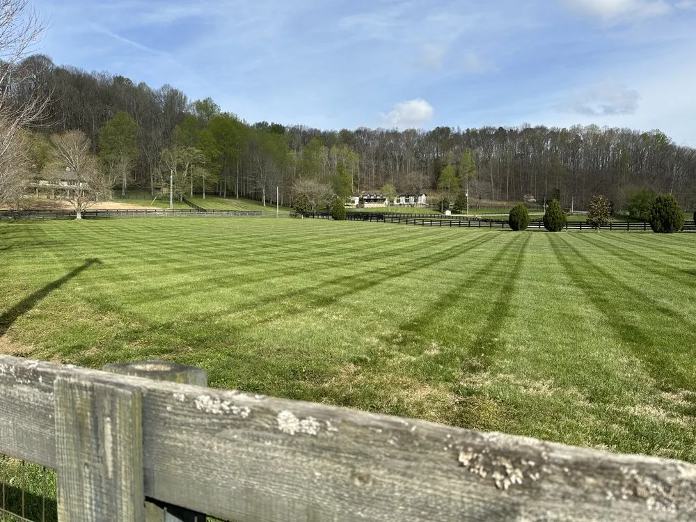 Top-rated outdoor landscaping in Centerville, TN by 360 Land Management