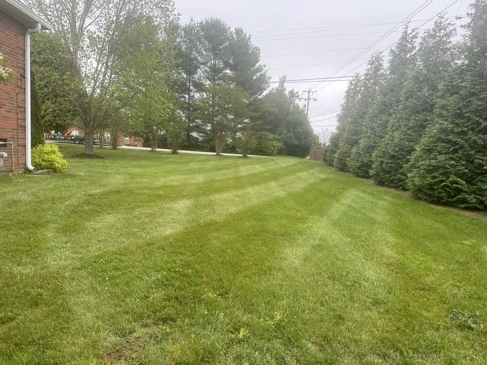 Custom yard maintenance in Centerville, TN - 360 Land Management