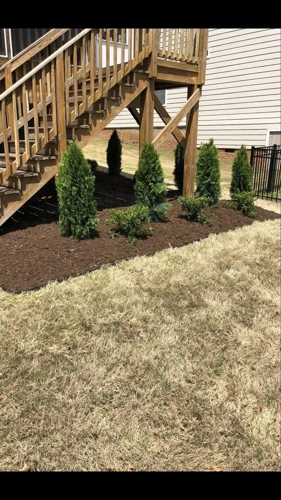 Reliable lawn care service for outdoor upgrades in Rural Hall, NC by 360 Landscaping & Designs