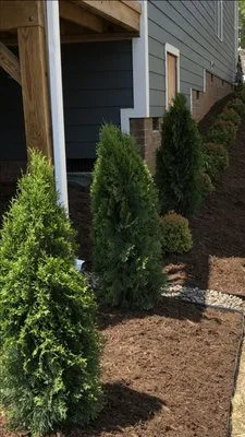 360 Landscaping & Designs