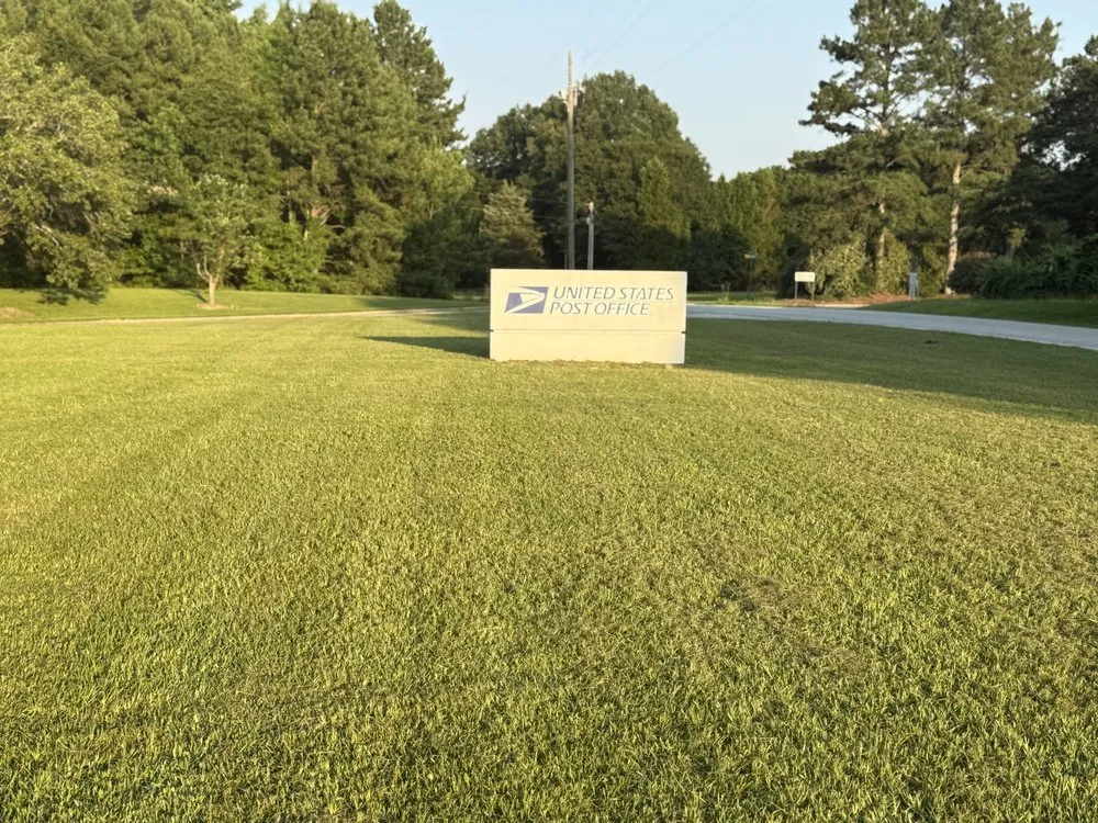 Top-rated outdoor landscaping experts serving Clayton, NC - 360 Landscaping