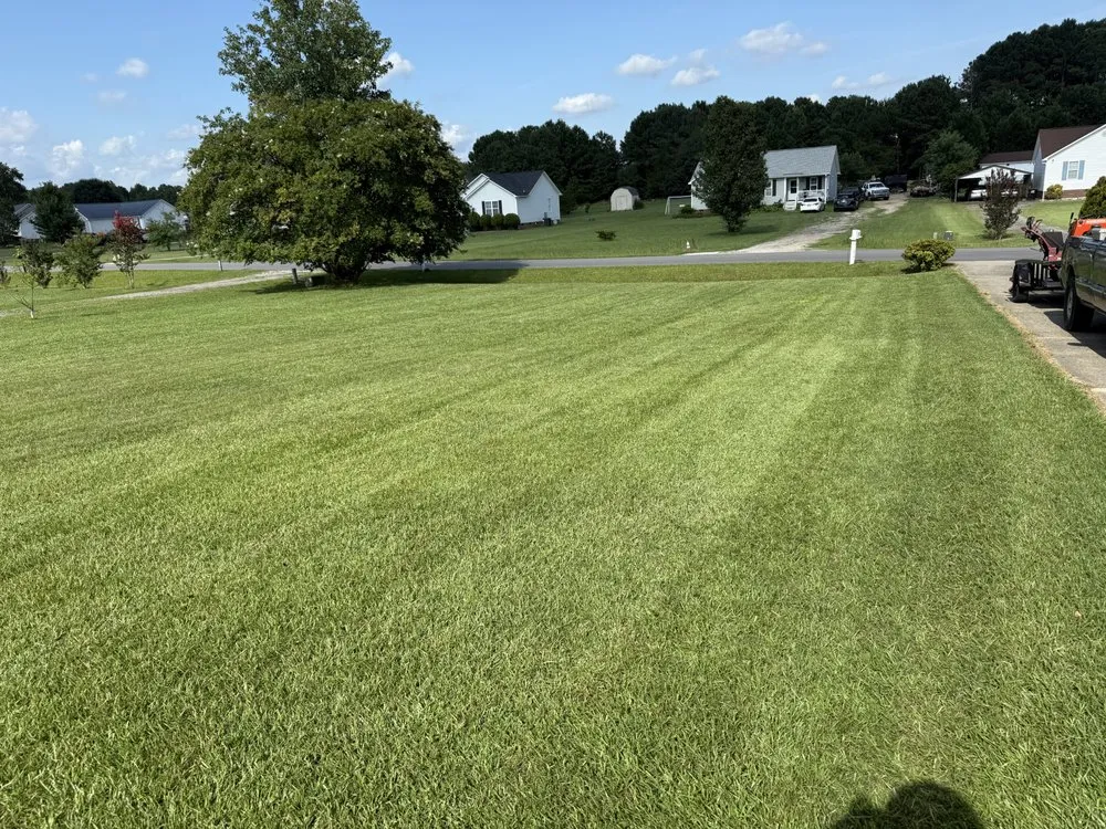 Expert landscaping services for year-round maintenance in Clayton, NC by 360 Landscaping