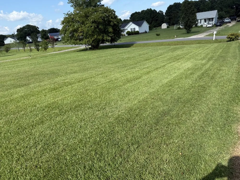 Custom outdoor landscaping experts serving Clayton, NC - 360 Landscaping