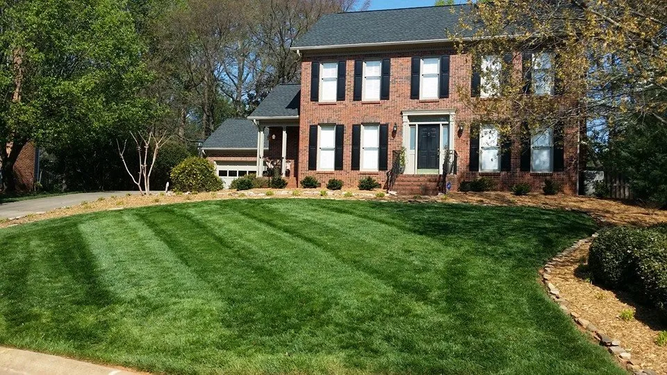 Reliable yard maintenance in Rock Hill, SC by 360 Lawn Care
