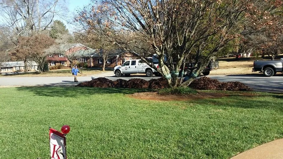 Top-rated yard maintenance in Rock Hill, SC - 360 Lawn Care