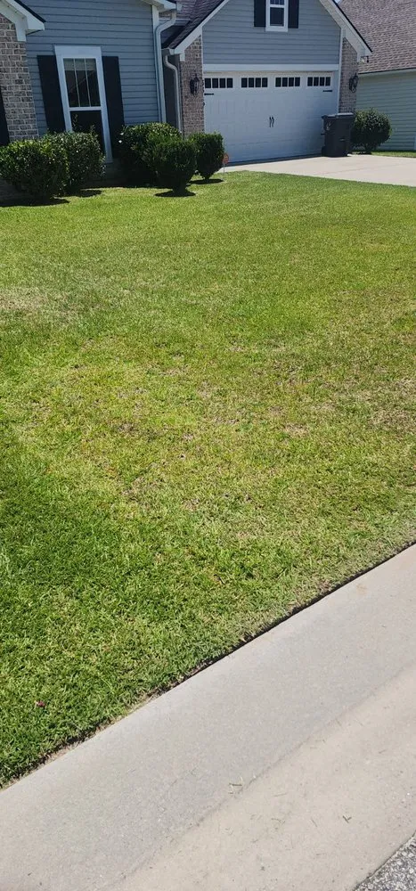 Trusted yard maintenance experts serving Valdosta, GA - 360 Lawncare Service