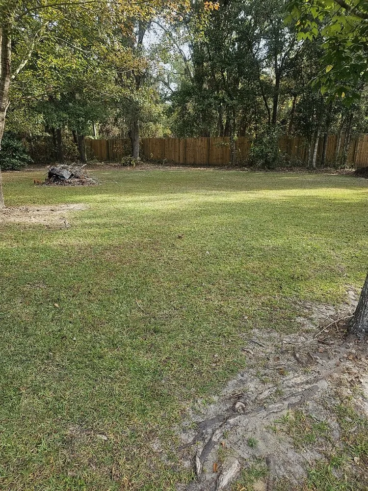 Local yard maintenance experts serving Valdosta, GA - 360 Lawncare Service