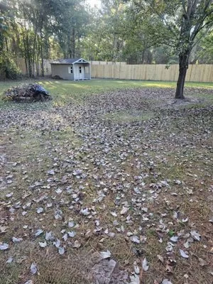 360 Lawncare Service Logo