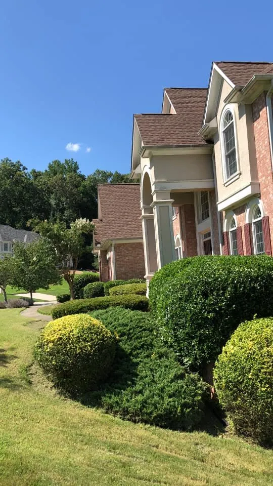 Expert yard cleanup service experts serving Fairburn, GA - 360 PTS