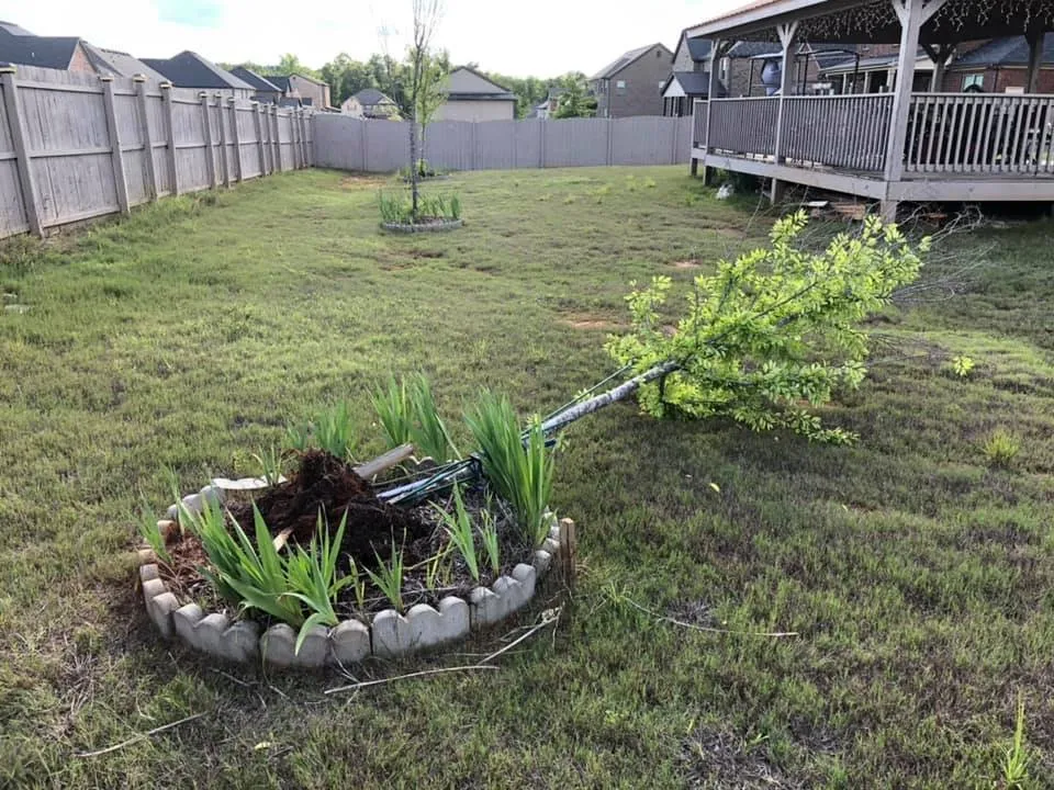 Trusted lawn care service near you in Fairburn, GA by 360 PTS