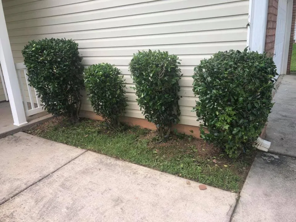 Professional landscape design experts serving Fairburn, GA - 360 PTS