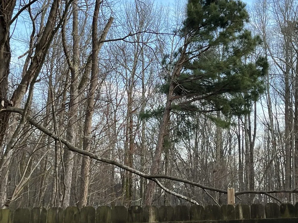 Trusted yard maintenance with custom design across McDonough, GA - 360 South Landscape Design