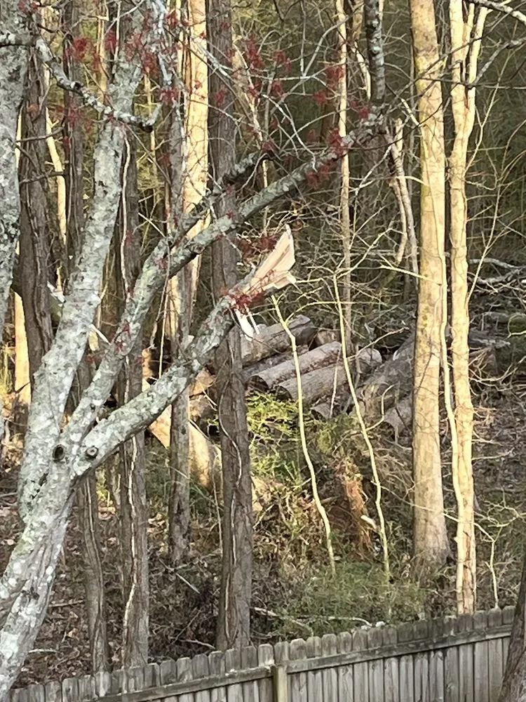 Affordable residential landscaping for beautiful yards across McDonough, GA - 360 South Landscape Design