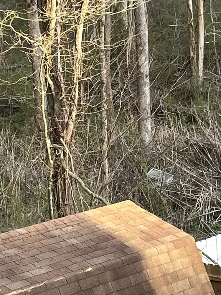 Custom residential landscaping in McDonough, GA by 360 South Landscape Design