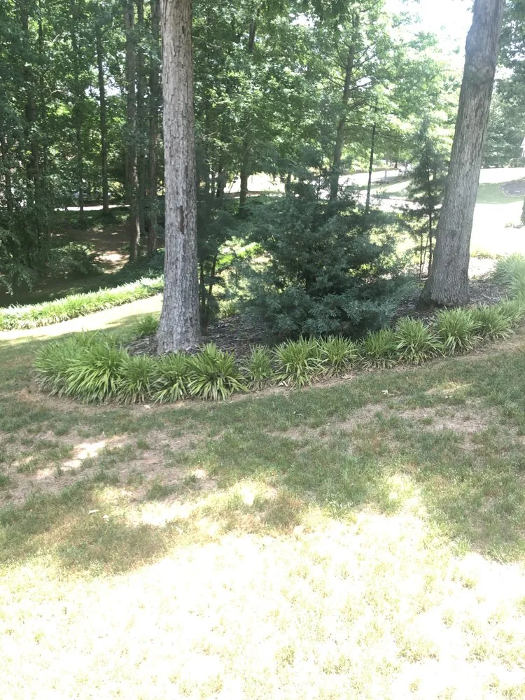 Top-rated residential landscaping in McDonough, GA by 360 South Landscape Design