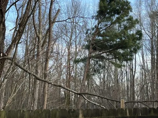 360 South Landscape Design Logo