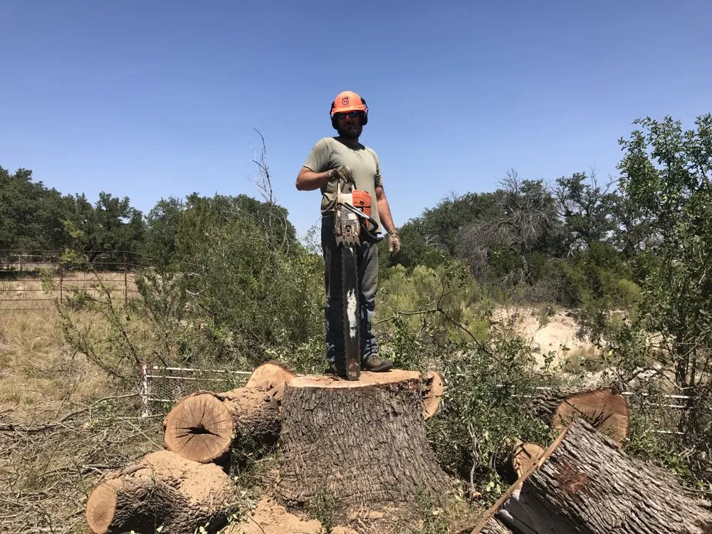 Professional landscape installation with custom design in San Angelo, TX by 360 Tree and Landscaping