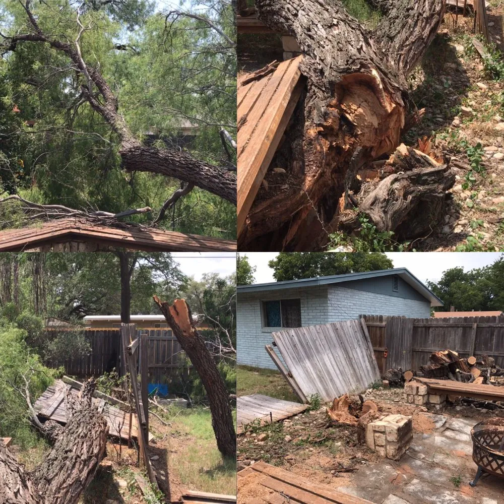 Trusted landscape design for year-round maintenance across San Angelo, TX - 360 Tree and Landscaping